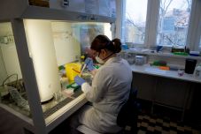 Csaknem 1600 fertőzöttnél mutatták ki eddig az aggodalomra okot adó vírusváltozatok valamelyikét