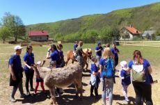Máris kinőtte magát a zeteváraljai Babusgató állatsimogató