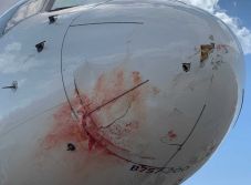 Madárrajjal ütközött a Utah Jazz csapatgépe