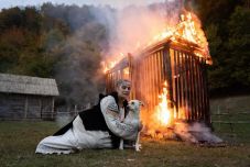 TIFF-es filmélményeink: bosszúfilm, élővilág-thriller és Pálfi György háborúellenes kiáltványa