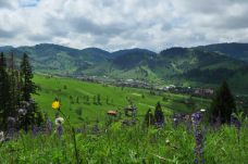 10 dokumentumfilm a madarak és fák napjára