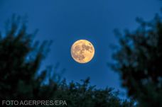 Mi látható az éjszakai égen augusztusban?