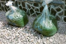 Háromszéken nem viszik el a szemeteskuka tartalmát, ha komposztálható hulladékot tartalmaz