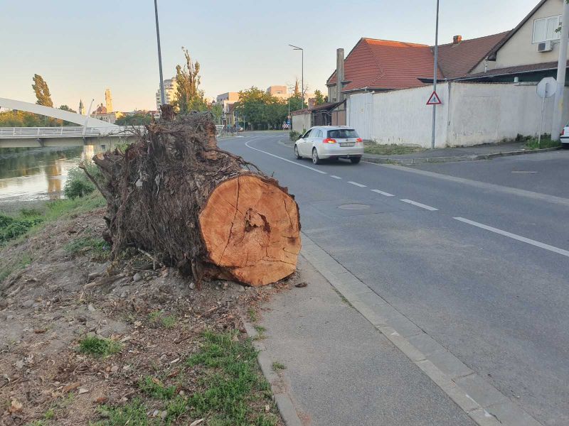 Nagyváradi városkép, hetekkel az orkán után
