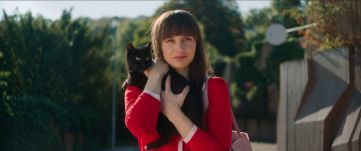 Karácsony előtt Cicaverzum és cicaszépségverseny Erdélyben