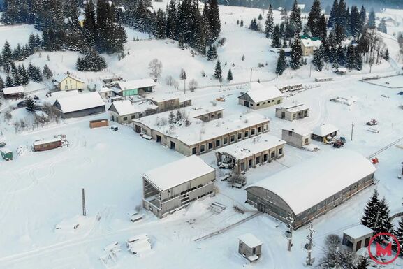 Erdély legjei – Kovászna megye: Kommandó, a tündöklő és bukott fabirodalom