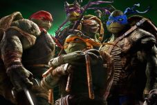 Nindzsa Teknőc: Romániában is buktatott le pedofil bűnözőket a svájci rendőrség