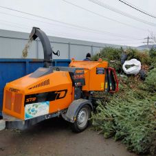 Figyelem, elindultak a fenyőjáratok: Sepsiszentgyörgyön három váltásban gyűjtik a karácsonyfát