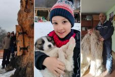 Az apa, aki egyhetes mesterségnézőbe vitte fiát a vakációban: jártak gazdánál, gazdasszonynál, fakitermelésen, kovácsnál és bányában is