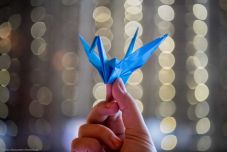 Japán mozgalom kapta a Nobel-békedíjat