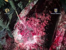 Fagyasztott gyümölcsbe rejtve csempészték a kokaint