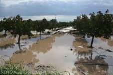A dunai árhullám romániai tetőzése október 2-án és 3-án várható