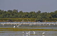 Visszavetette az ukrajnai háború a Duna-delta turizmusát