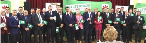 Tizenkilenc polgármesterjelöltje van az RMDSZ Szilágy megyei szervezetének