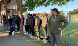 Kukorica közé rejtőzve próbált átjutni a román-magyyar határon 14 bevándorló