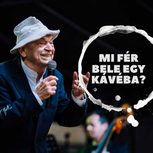 Mi fér bele egy kávéba? Bodrogi Gyulával beszélgettünk 