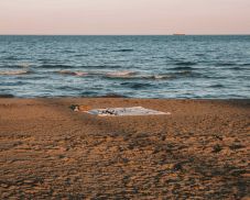 Öt új járatot indít a WizzAir Kolozsvárról