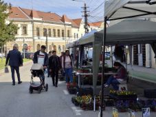 Hagyományteremtő szándékkal szerveztek kertészeti kiállítást Nagyenyeden