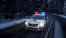 Letartóztattak két román férfit Magyarországon