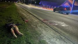 Rossz tréfa: „véres holttestet” tettek ki az iskolások az országútra