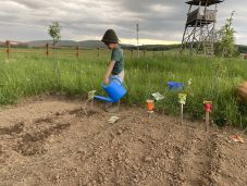 Kiskertészek Háromszéken: nem csak zöldséget, jövőt is neveltek