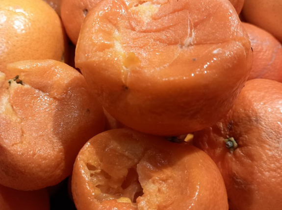 Rossz minőségű, penészes termékek – Büntettek a fogyasztóvédők