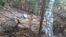 Rejtélyes drón zuhant az erdőbe Argeş megyében – Ejtőernyővel és „házi készítésű szerkezettel” van felszerelve