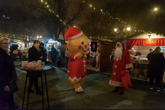 „Porba tiporták egy ember méltóságát” – a parlament elé tárták a nagykárolyi magyarellenes provokációt