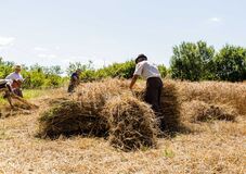 Maszol: ezek voltak a legérdekesebb erdélyi hírek 2025-ben