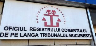 Buzgott idén a vállalkozási kedv