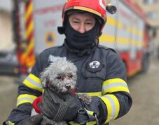 Lakástűz: Több tucat lakó kimenekült – Kiskutyát mentettek a lángok közül