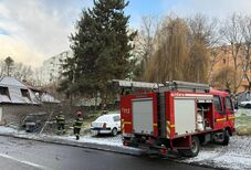 Tombol a szél Marosvásárhelyen: autóra és úttestre dőltek a fák