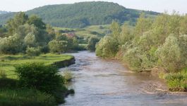 Fehér megye: tovább nőtt a Kis-Küküllő vizének sótartalma Balázsfalvánál
