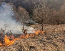 Fechet: „A romániai erdőket a legnagyobb éberséggel igyekszünk védeni”