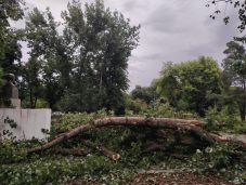 Nyolc megyében pusztított a szombati vihar