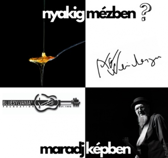 Nyakig mézben – Mire jó a zene?