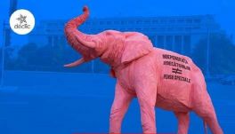 Tüntetés: Egyenlő jogokat, különleges nyugdíjak nélkül!