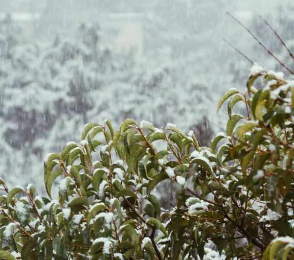 Vasárnaptól 10–15 fokot zuhan a hőmérséklet, havazás várható