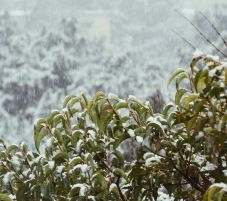 Vasárnaptól 10–15 fokot zuhan a hőmérséklet, havazás várható