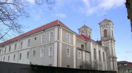 Magyar történelmi székhelyet támad Nagyvárad önkormányzata