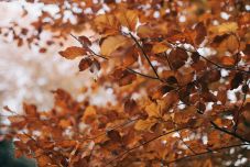 Kiadták a kéthetes időjárás-előrejelzést – Erre készüljünk november első felében