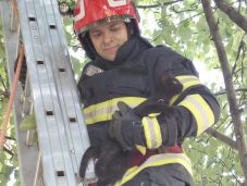 Cicát mentettek a gyergyószentmiklósi tűzoltók