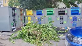 Őszi falevelek és ágak: komposzt vidéken, elszállítás Sepsiszentgyörgyön