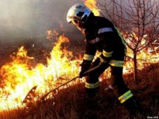 Szélsőséges gesztushoz folyamodott egy parlagfűre allergiás férfi – Felgyújtott 25 hektárt