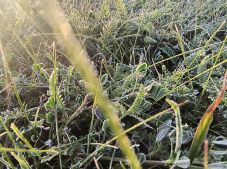 Újra Csíkszereda volt az ország leghidegebb pontja, mínusz fokot mértek