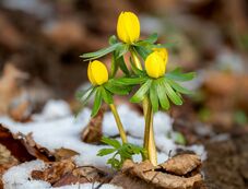 Szerdától beköszöntött a rendkívül hideg idő: erős szél, eső, havas eső vagy havazás várható