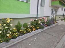 Idén is folytatódik a csíkszeredai környezetszépítő mozgalom – Lehet jelentkezni!