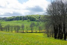 Változékony április: enyhe melegedés és esős napok is jönnek