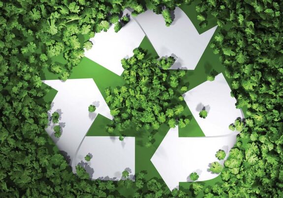 Új fejezetéhez érkezett a Hargita megyei FöldMentor program