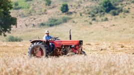Súlyos válságra figyelmeztetnek a gazdaszervezetek – A következményeit mindenki megérzi